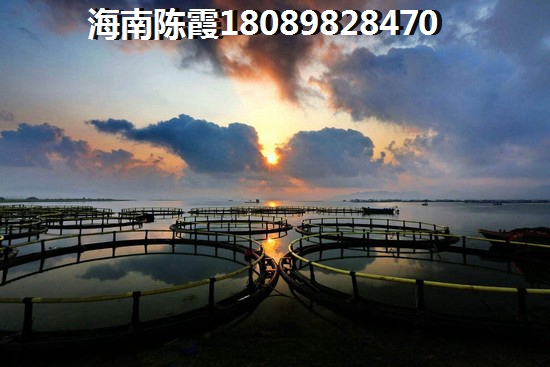 宝安公园家