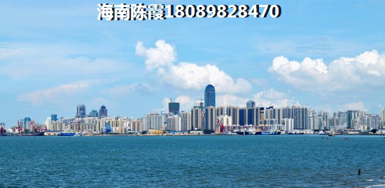 定安天九养生文化城买房优势及劣势