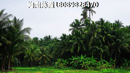 宏城水岸买房条件
