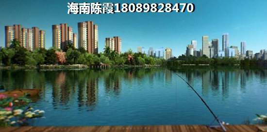 定安粤泰香江丽景生纸潜力高吗？