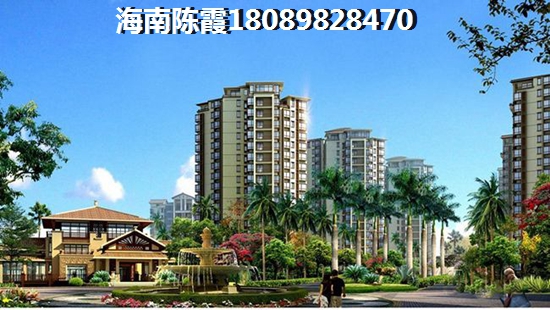 定安买房touzi纸不纸？