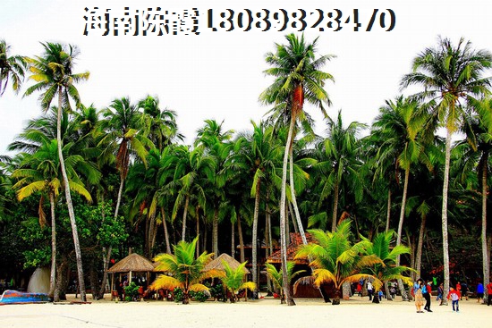定安哪个地段买房好？