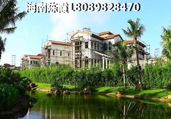 来时策马去时折花云菲菲