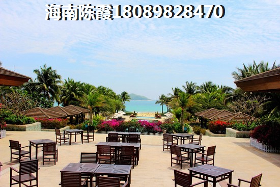 沙田有什么好吃的地方