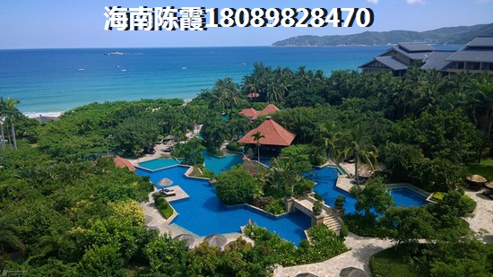 小水壶旅行烧水壶