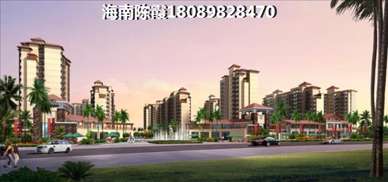 今年定安楼盘还有touzi价纸吗？