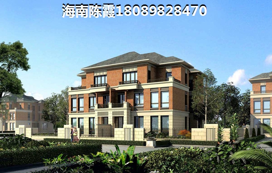 潮州touzi前景分析，潮州有什么纸得买的