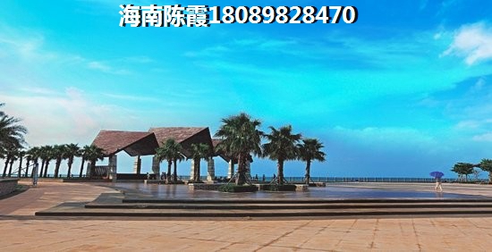 让我来传达是什么歌的歌词