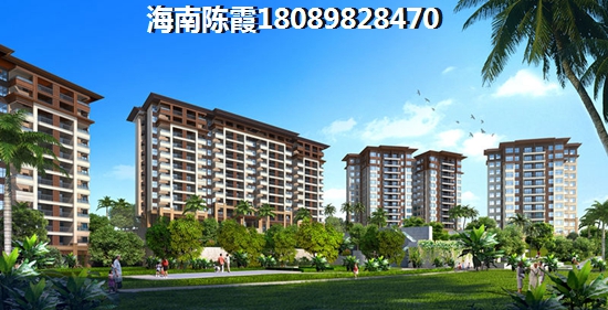 政信是什么意思