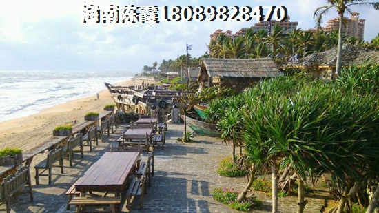 追求胜利需要付出什么歌 追求胜利需要付出什么歌